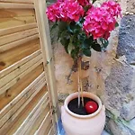 Les Insolites De アパート