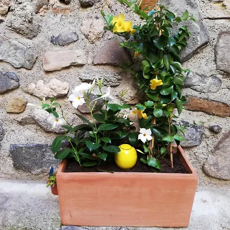 Appartement Les Insolites De Champeix