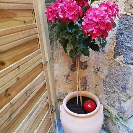 Les Insolites De דירה