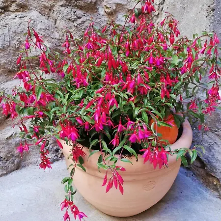 Les Insolites De Appartement