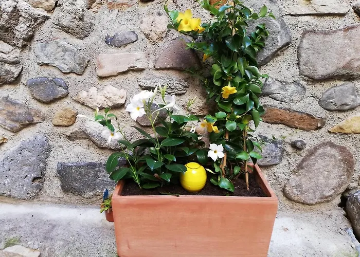 Апартаменты Les Insolites De Champeix