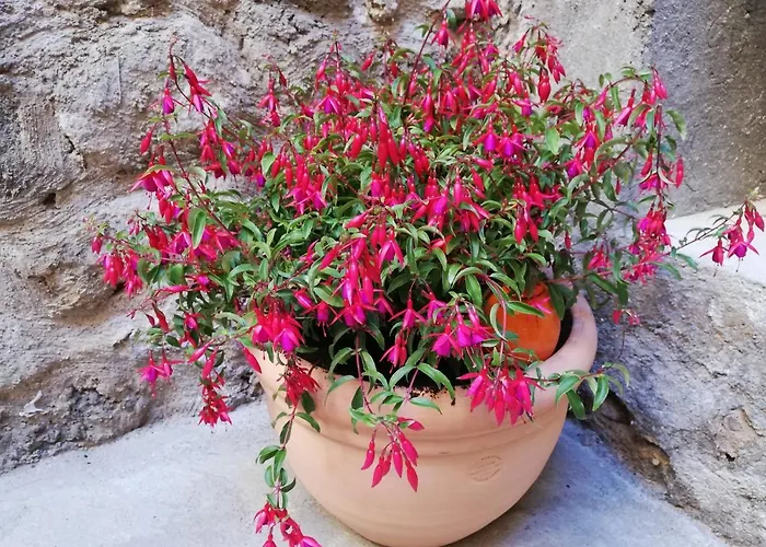 Les Insolites De Апартаменты